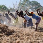 Women Farmers